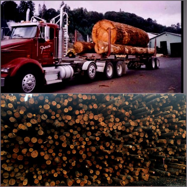 Log Block Then & Now