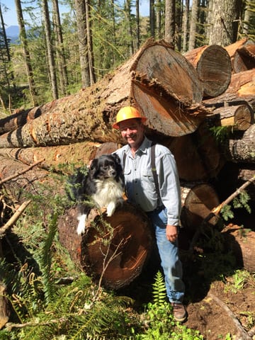 Oregon Forests