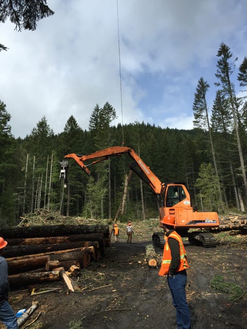 Photo by Ron Borisch, Freres Lumber Company Timber Sale Administrator 