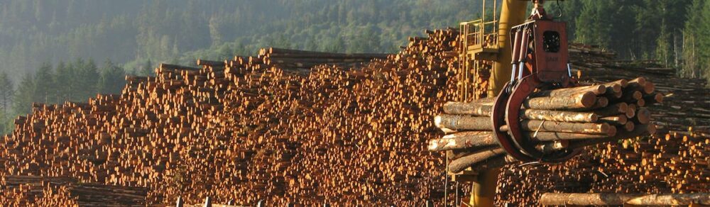 Moving logs with a crane