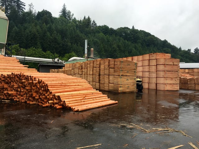 Lumber and Panel Markets