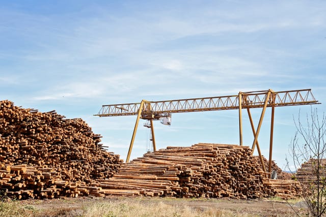 Western Plywood Markets