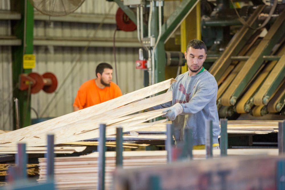 Plywood Sales Gains