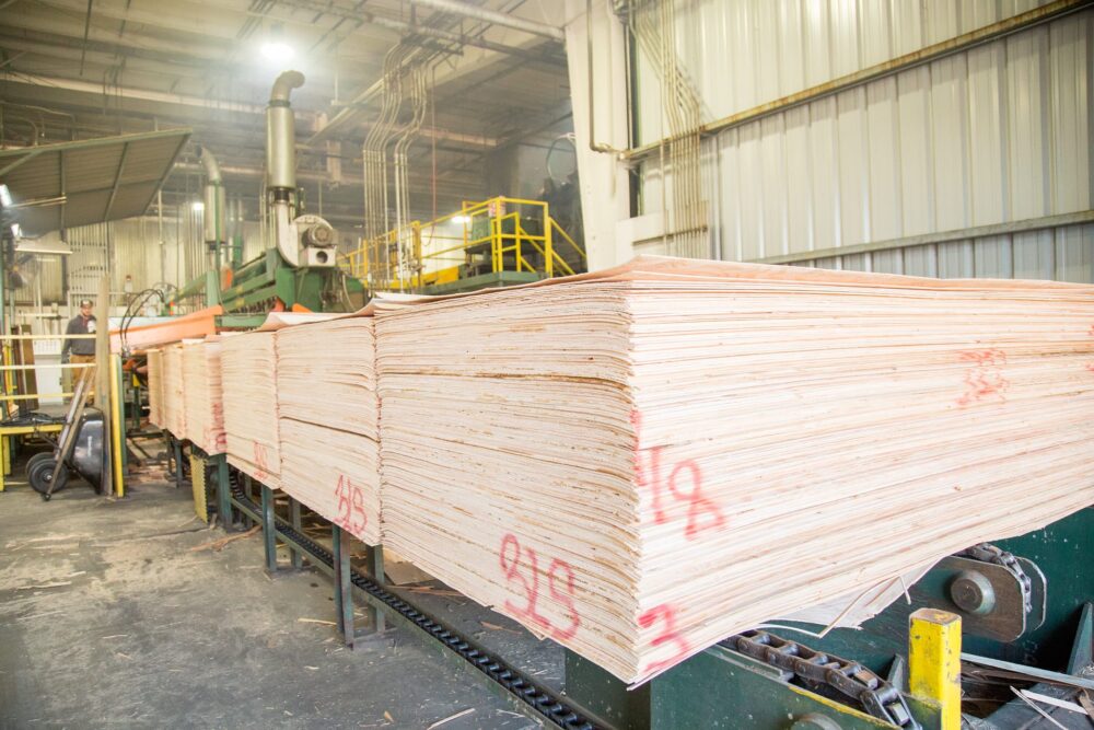 Plywood Production