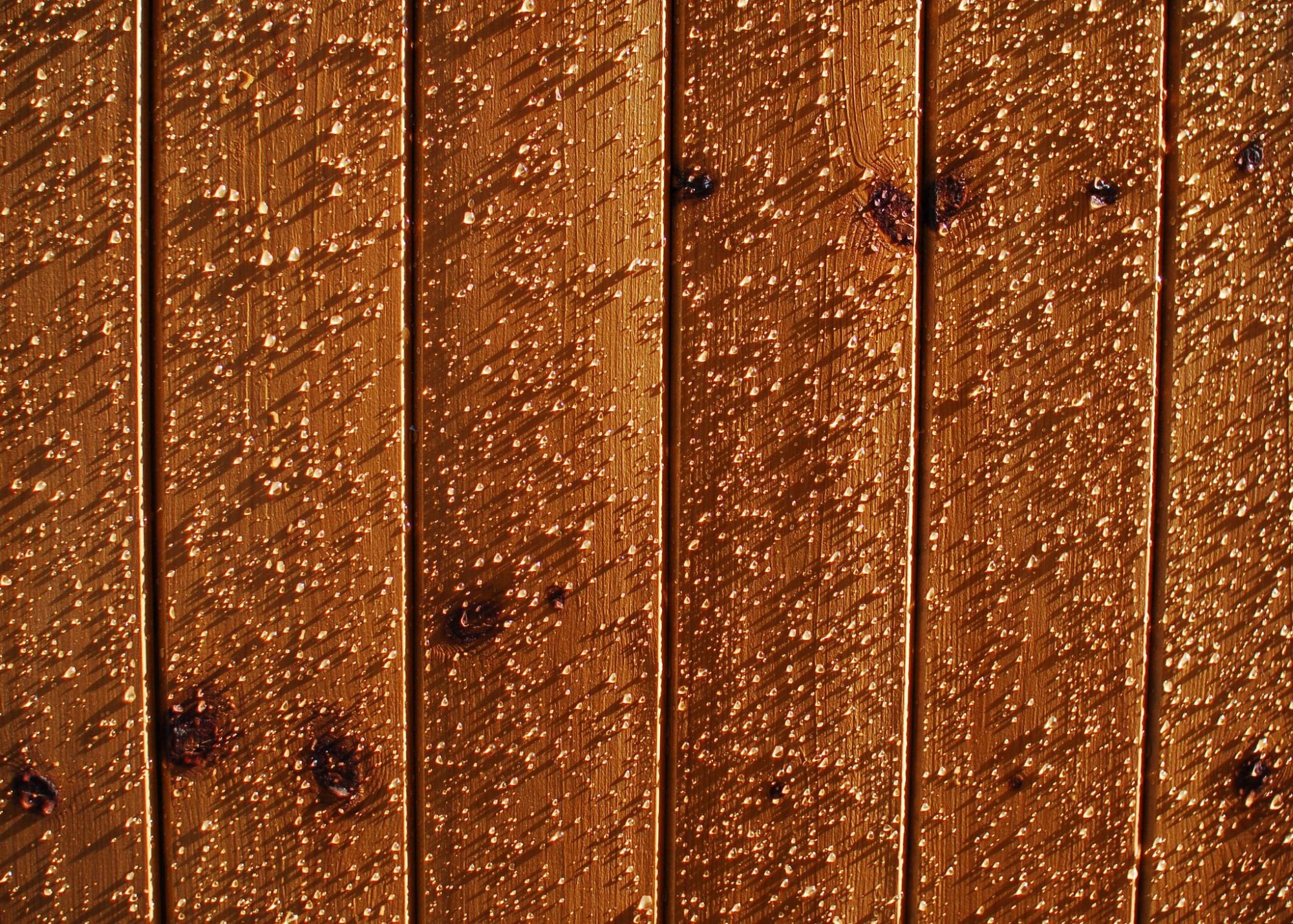 What Causes Wood Rot? Freres Engineered Wood