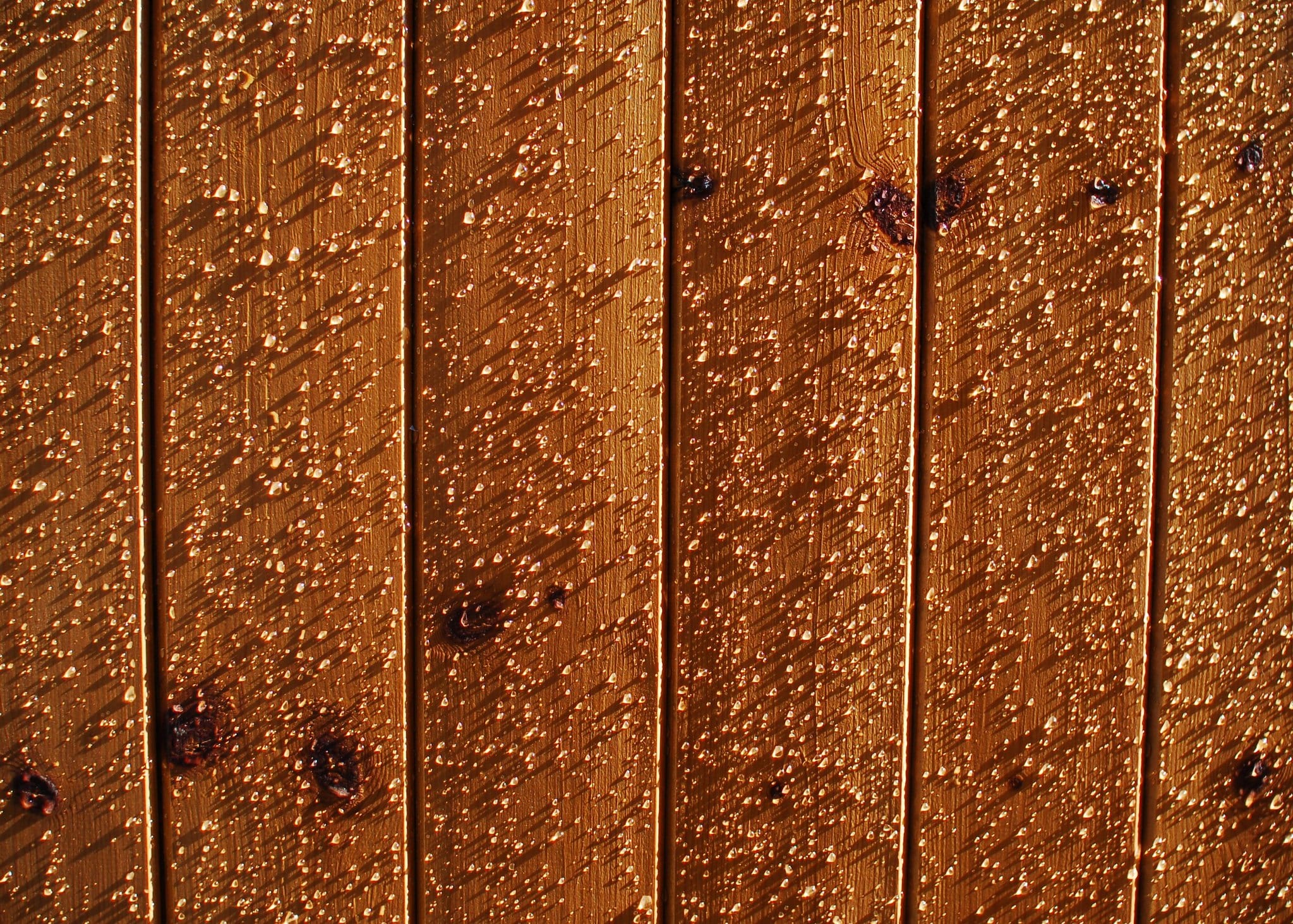 What Causes Wood Rot? Freres Engineered Wood