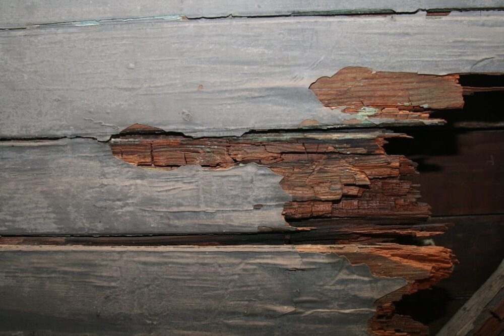 What causes wood rot