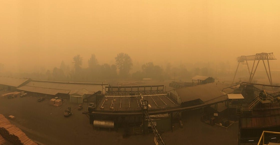 Rebuilding the Santiam Canyon Freres Engineered Wood