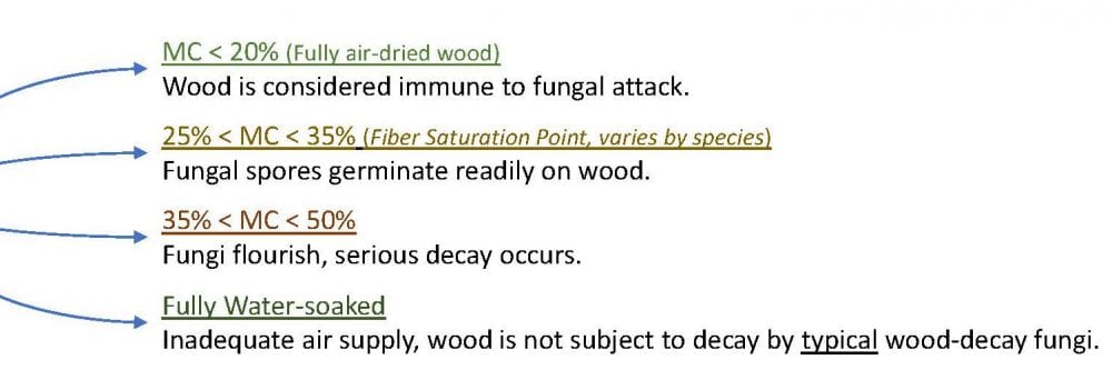 What causes wood rot