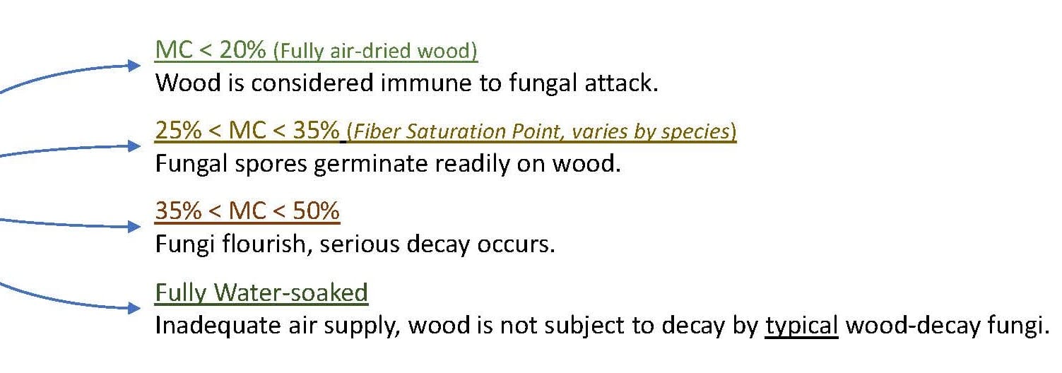 What Causes Wood Rot? Freres Engineered Wood