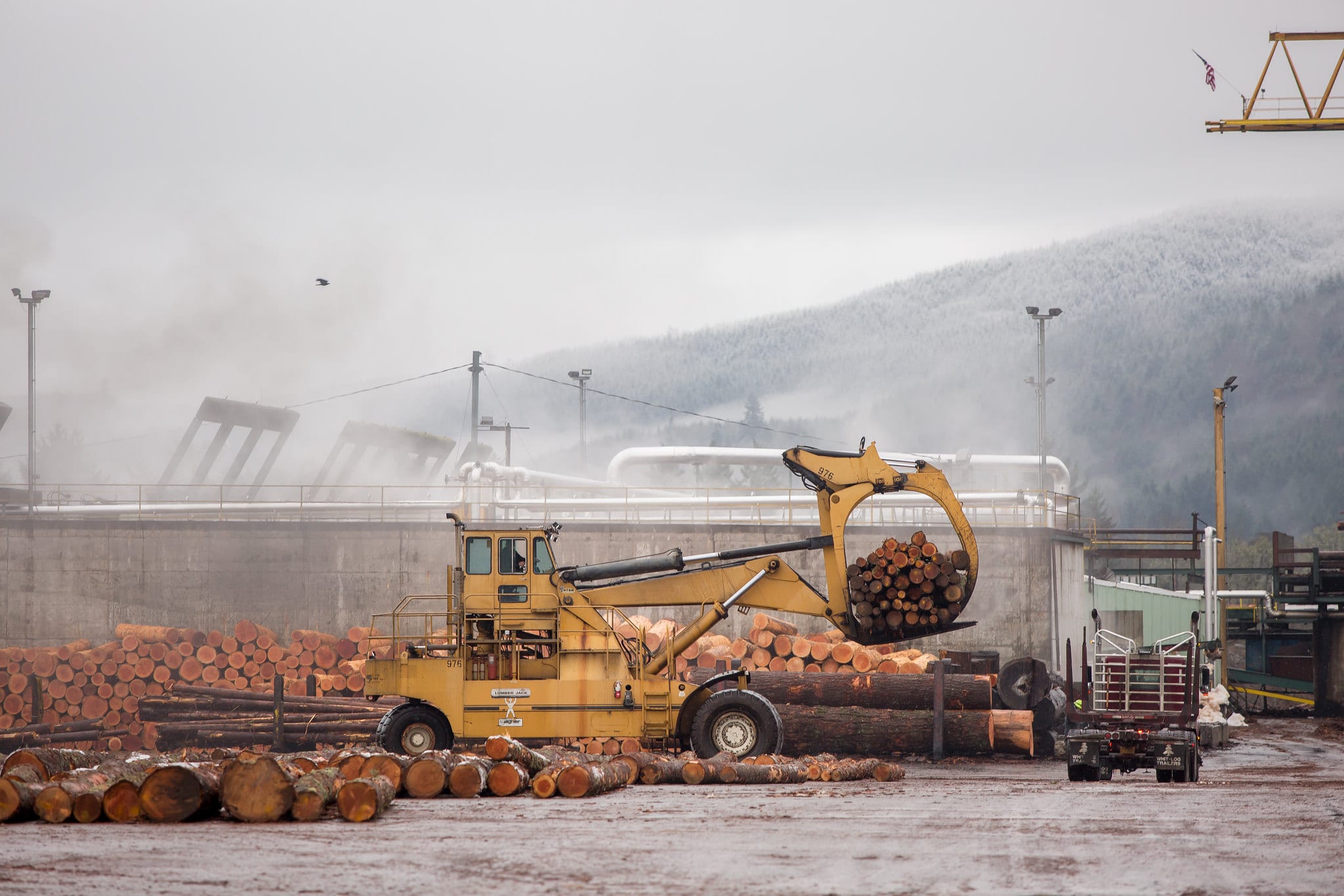 Freres Lumber November Market Update Gradual Improvements in End of Year Plywood Markets