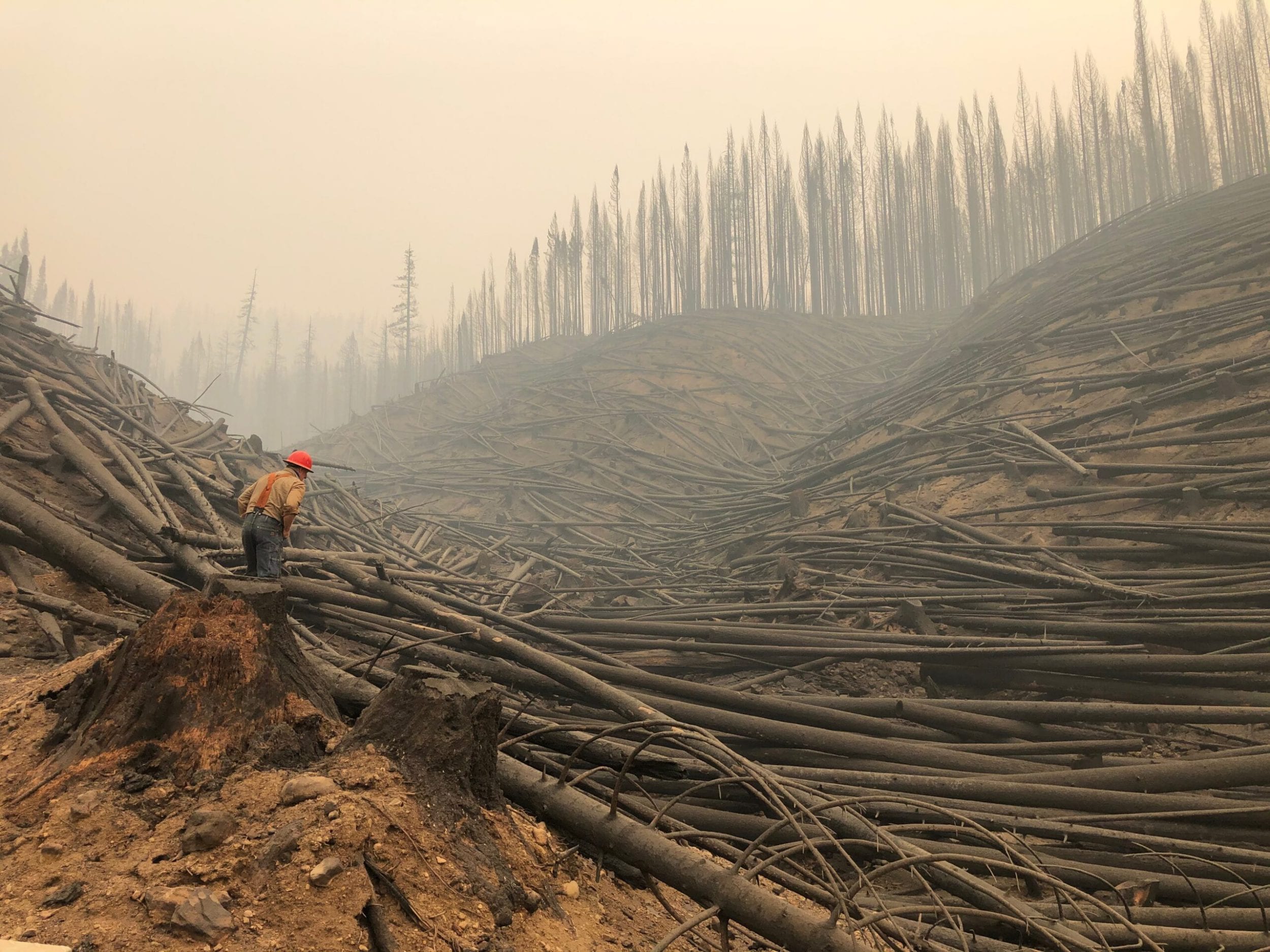 Oregon Fire Season Severe Potential for Wildfires this Year Freres