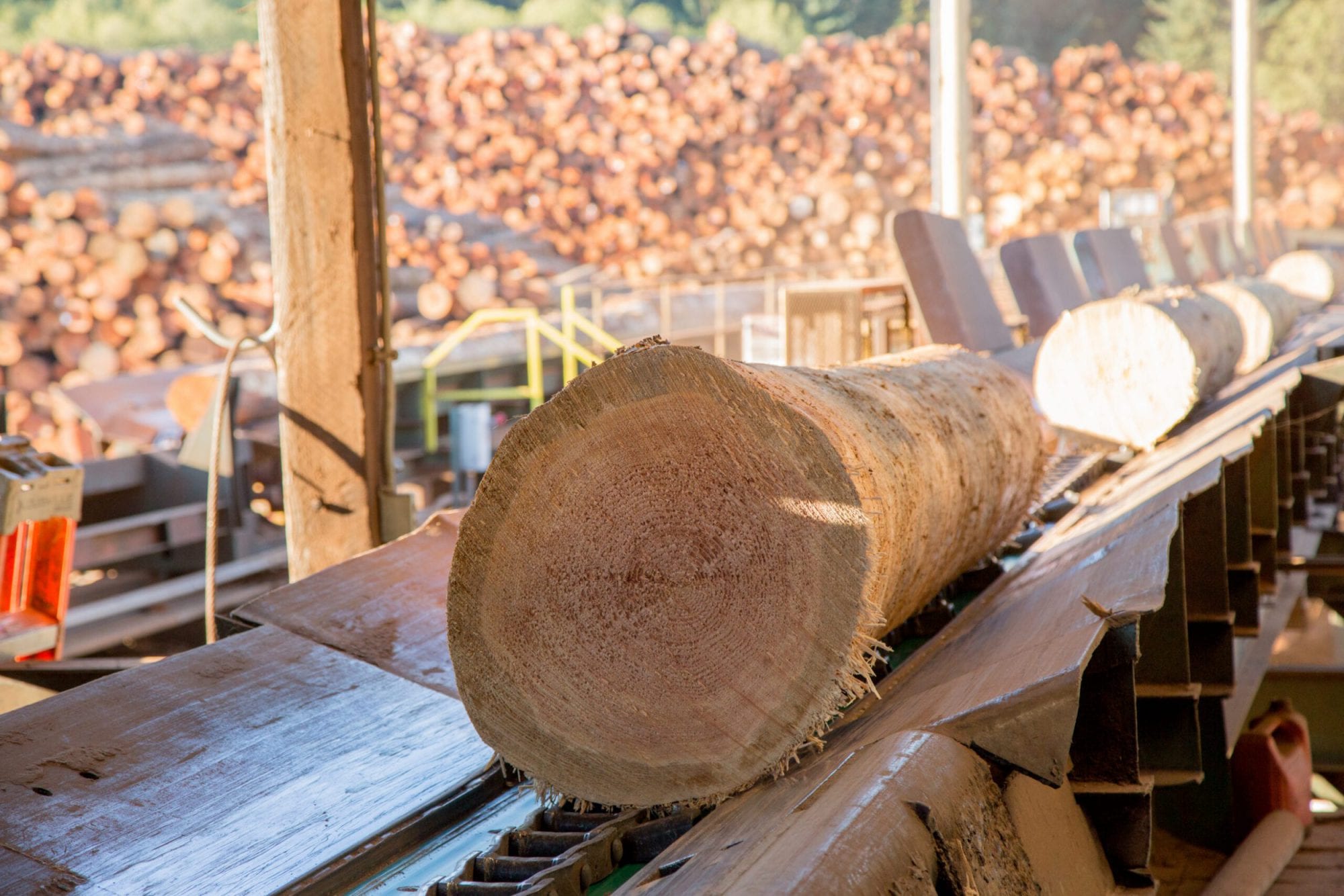 August Market Report Historic Drop In Plywood Pricing Freres 