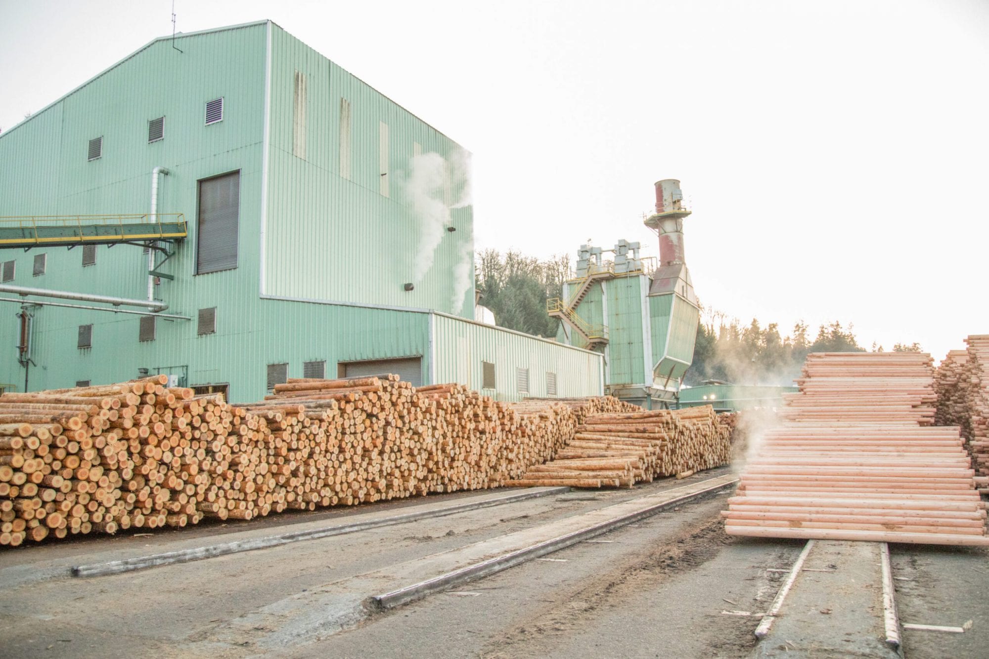 December Market Report Plywood Market Prices Rise Again Freres