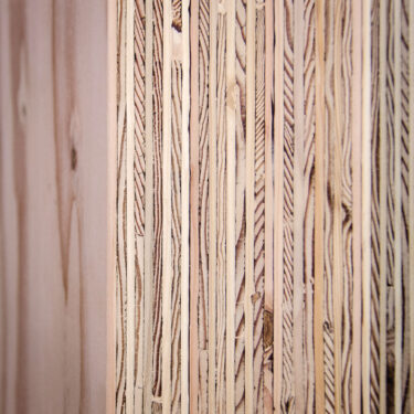 img mass ply plies close up 1