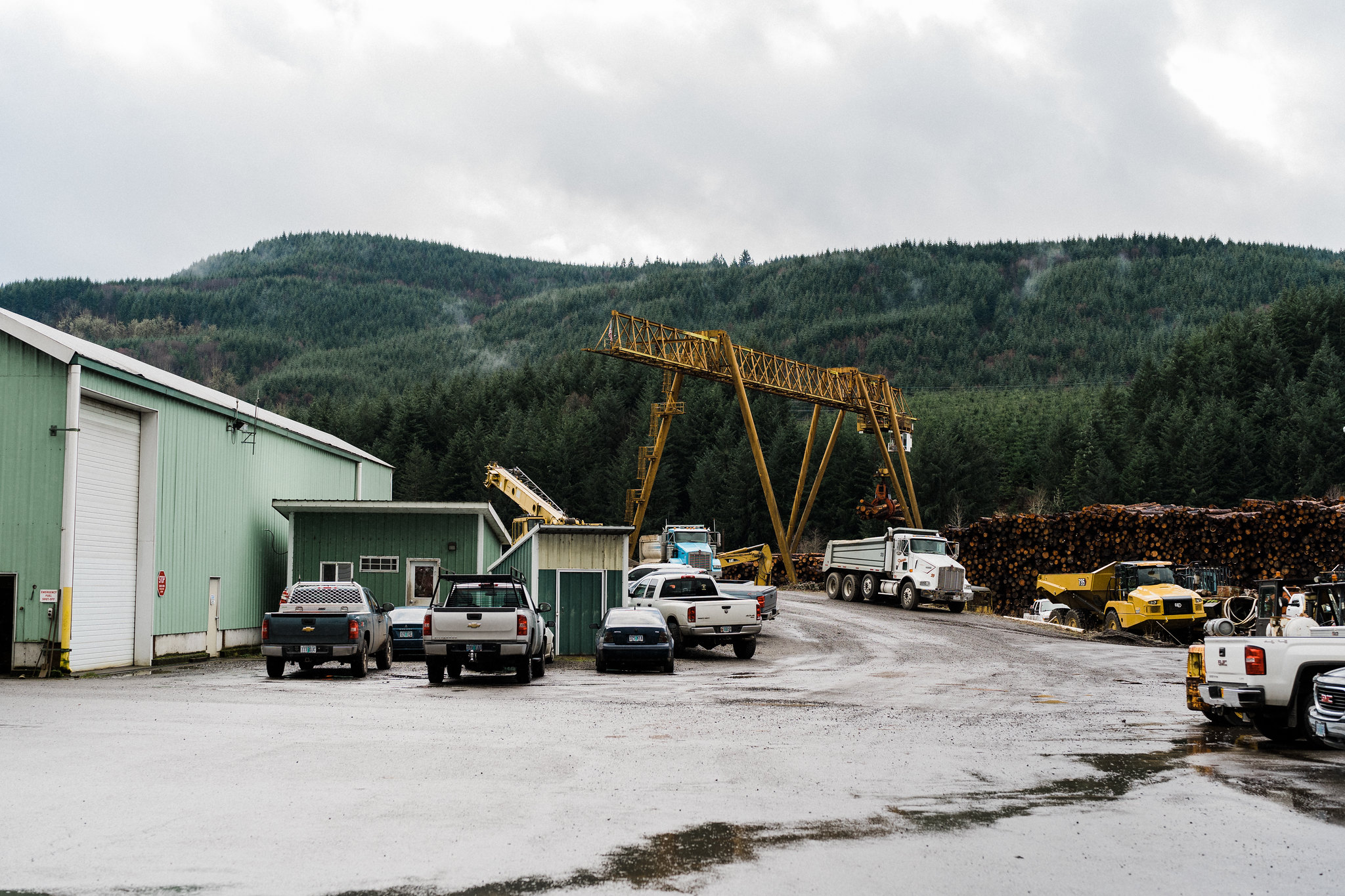 April Market Update Commodity Lumber and Panel Markets