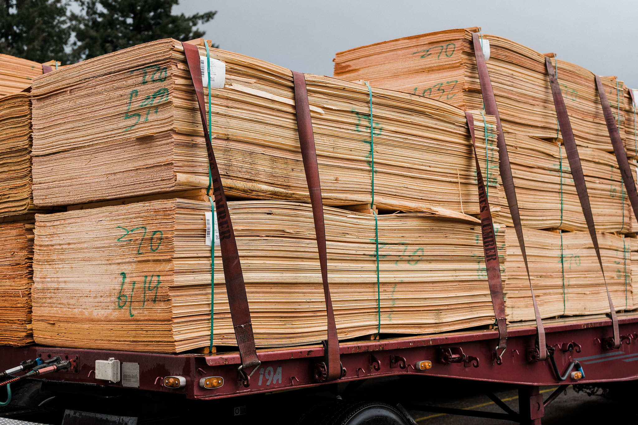 Market Report Plywood Prices Increase Freres Wood