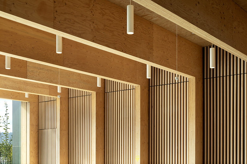 mass timber structure