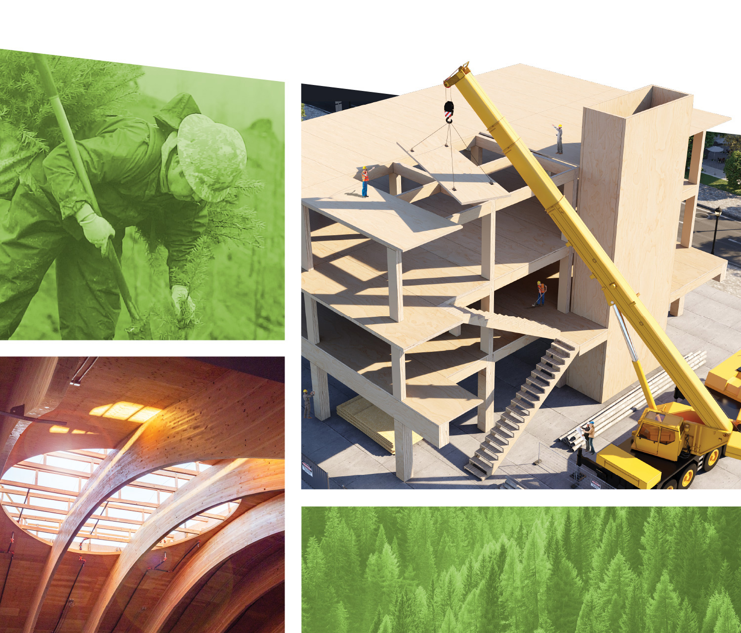 Manufacturing Job Opportunity Plywood Industry Jobs Freres