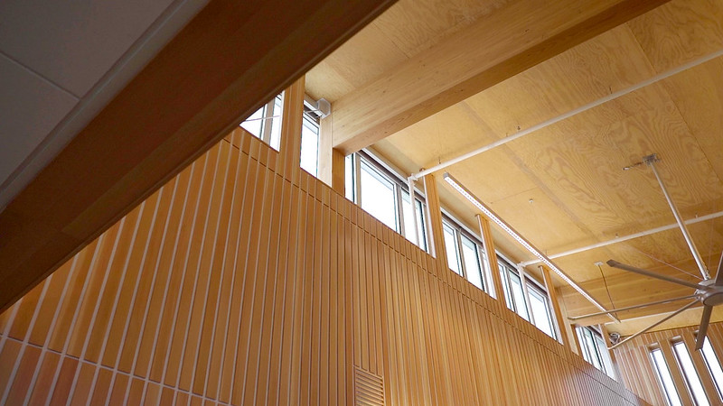 mass timber in sustainable construction
