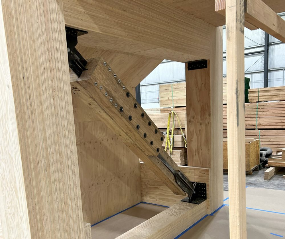 Mass Ply in Timber Buckling Restrained Braces