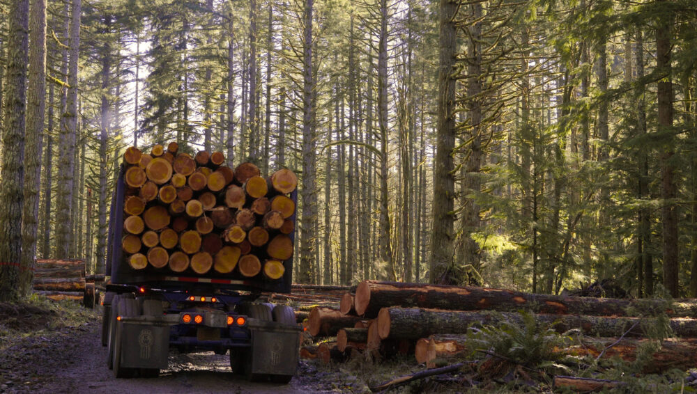 Log Truck Video Still 08