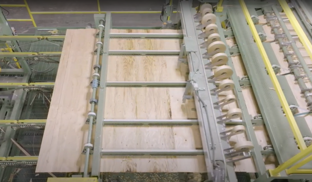 tape composed veneer in plywood
