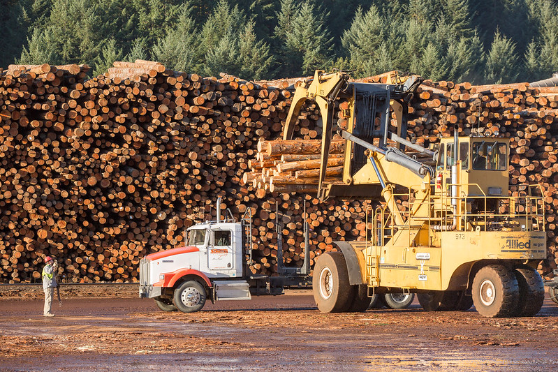2024 Wood Products Economic Forecast
