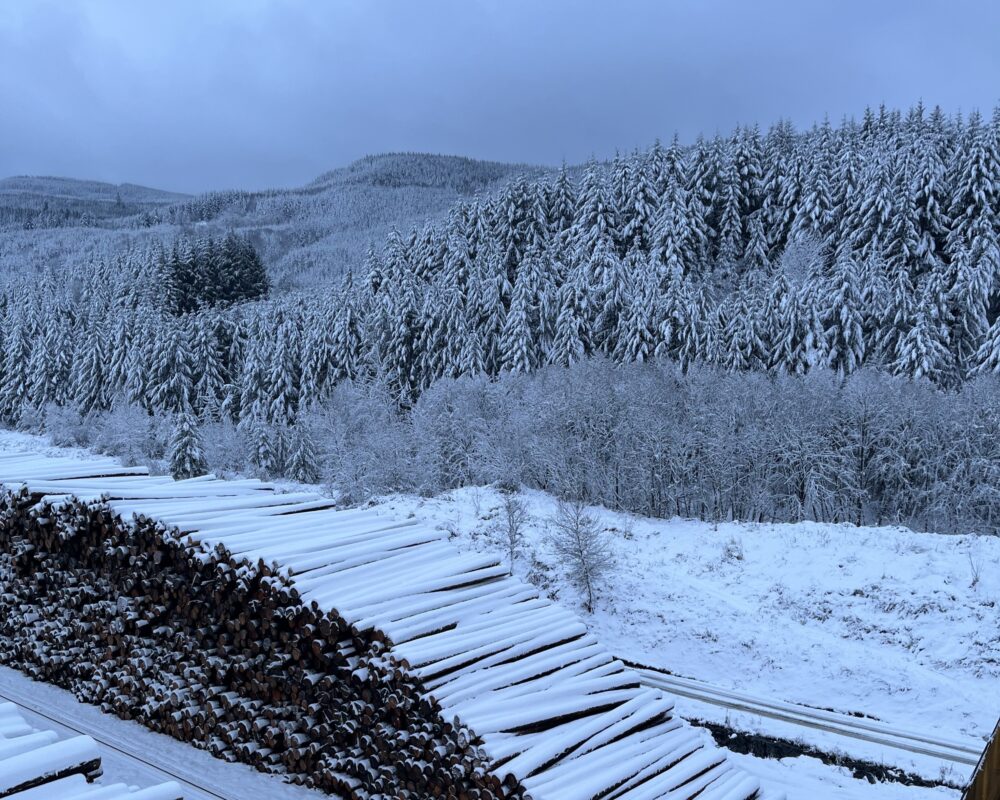 Winter Weather Impact on Commodities