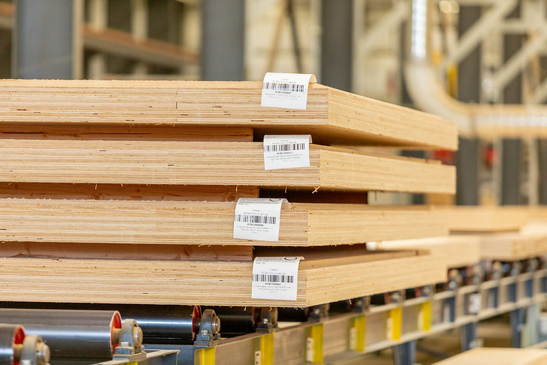 Uncertainty in Commodity Plywood