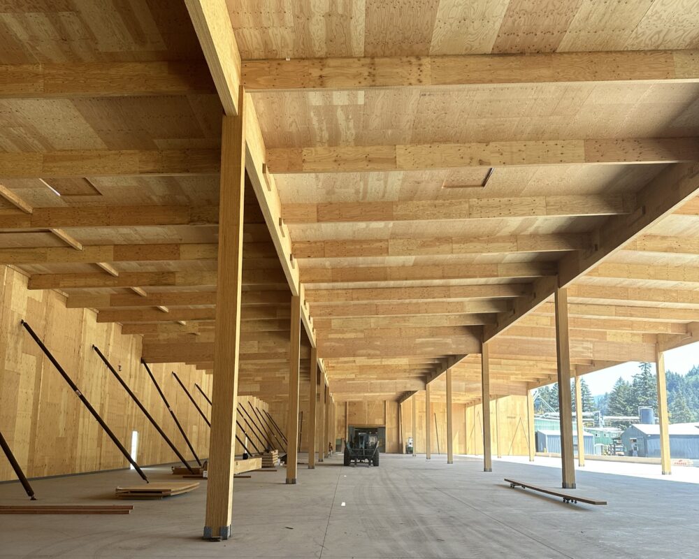 Plywood Warehouse 2024 (125)