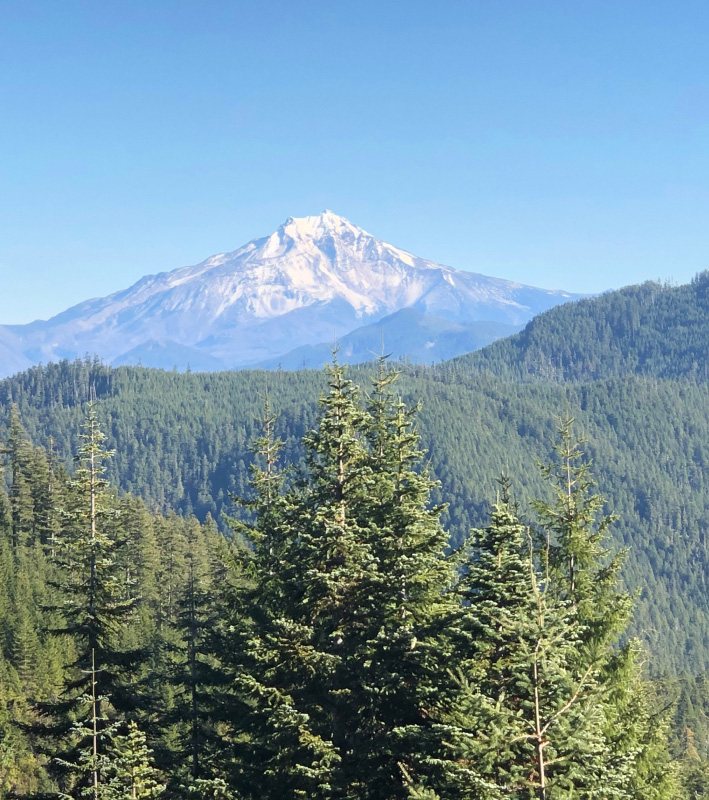 mt snowpeak ridges forest daylight