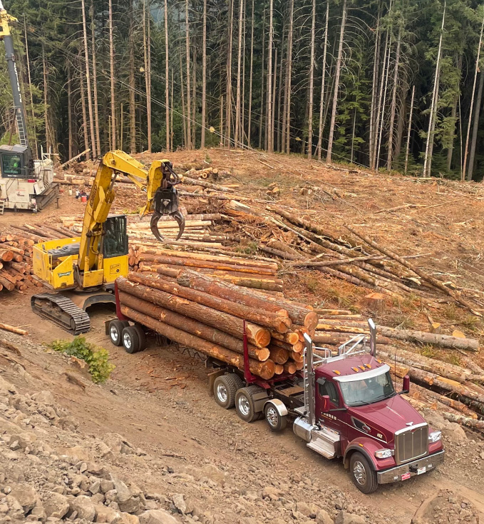 truck log load dirt road forest harvest