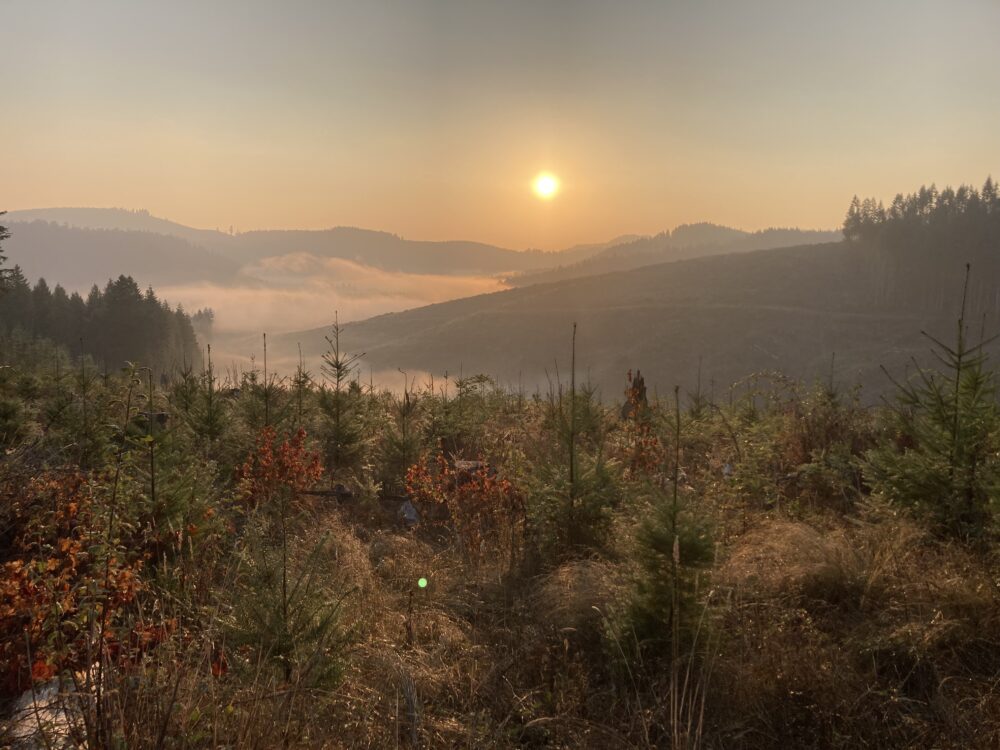 Oregon Wildfire Season