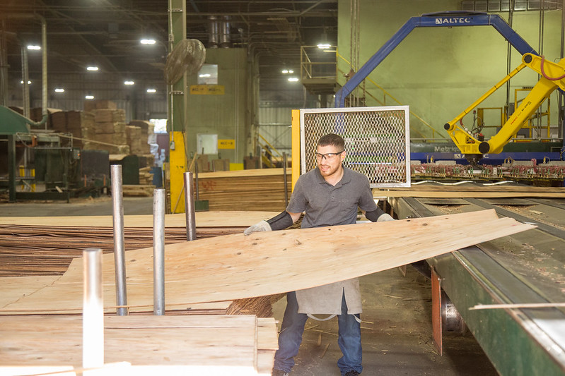 45690405341 53c8788571 c