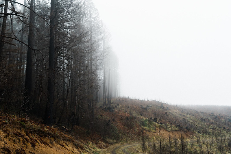 52006743721 23e15c6b9d c