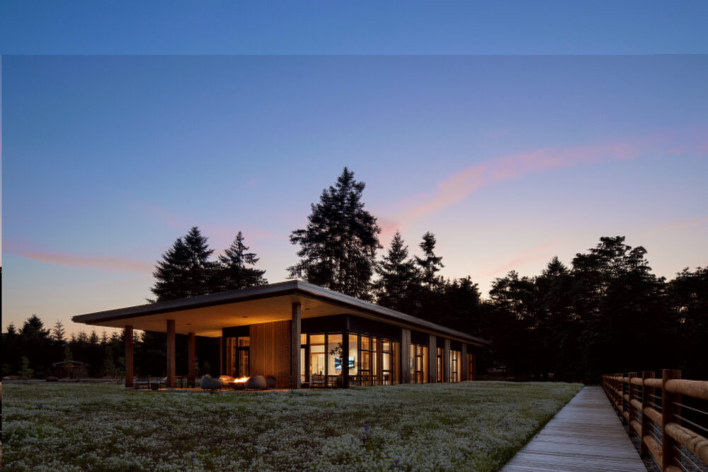 Inn the Ground CaseStudy Final Featured Image