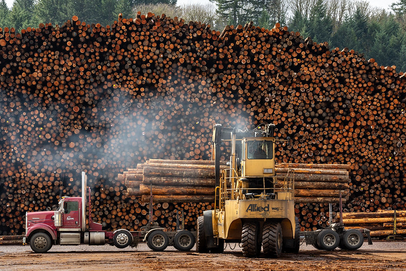 U.S. plywood supply challenges