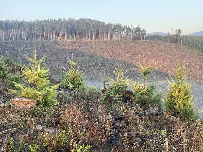 Oregon Legislative Session 2025