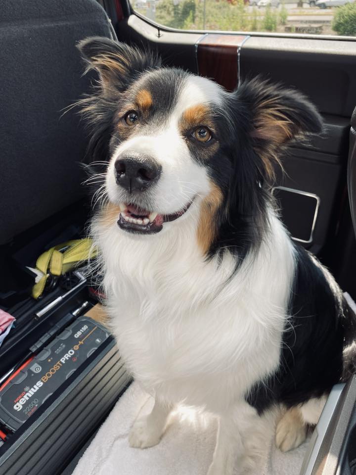 Bear Joe Weitman truck shop