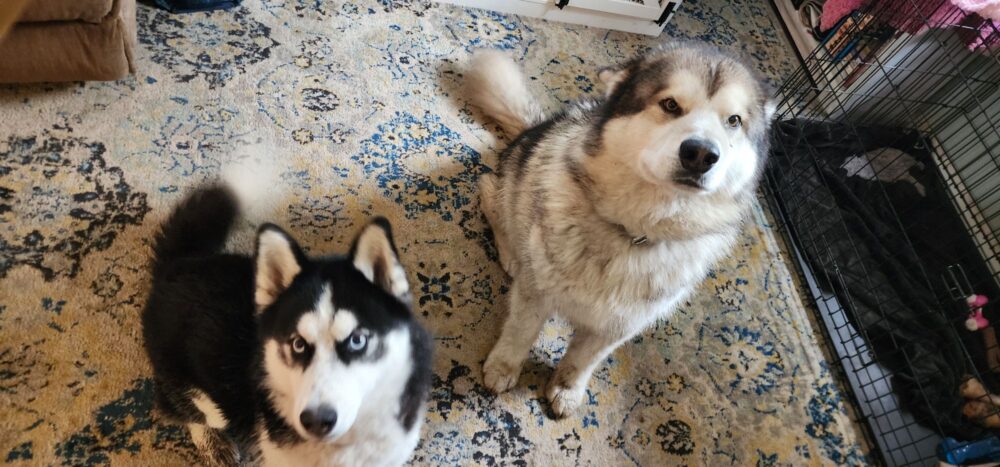 Becki a composer operator from plant 3 has Jasmine and JJ