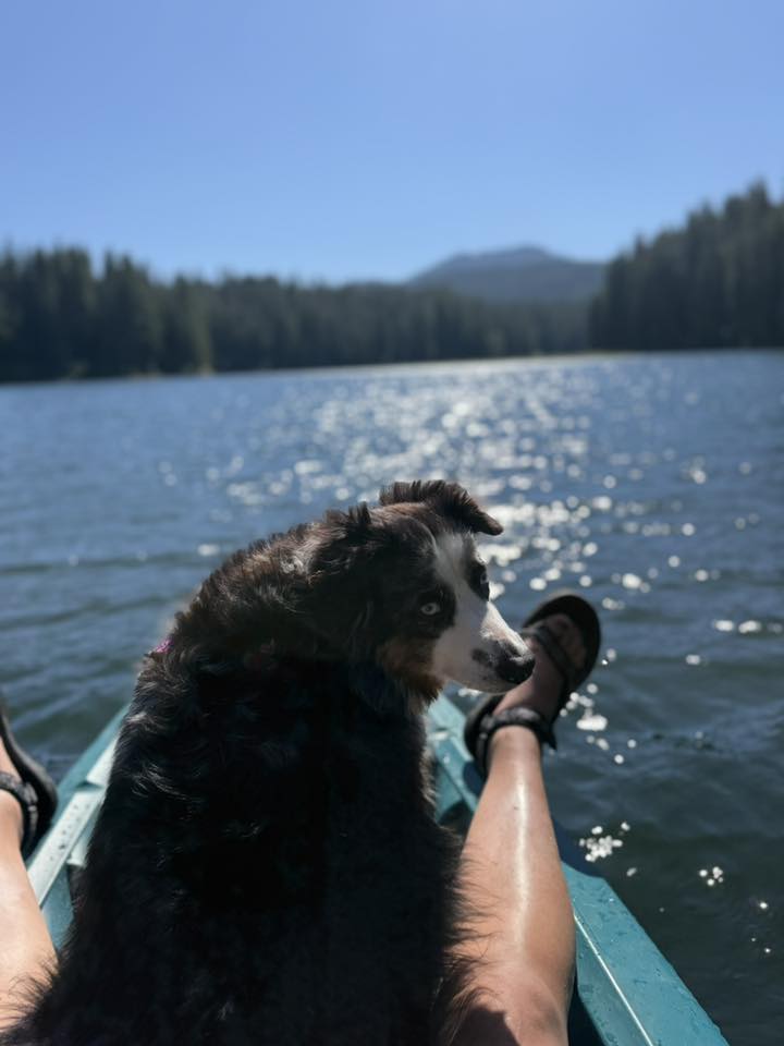 Cassie with Ashton Yardley P3 Curtain pod