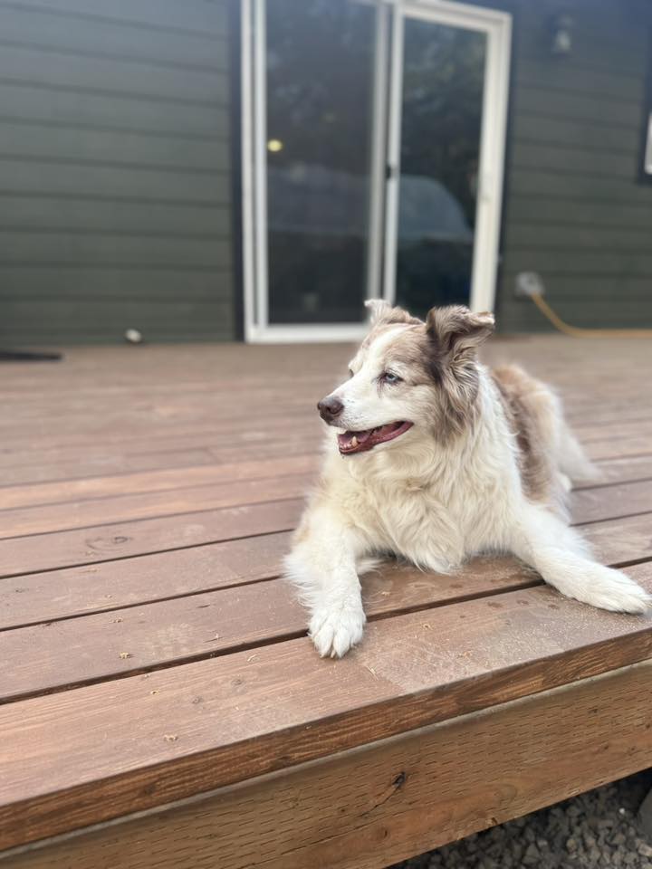 Charles with Ashton Yardley P3 Curtain Pod