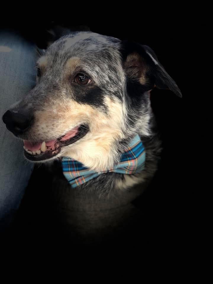 Gus Gus with James Richter truck shop