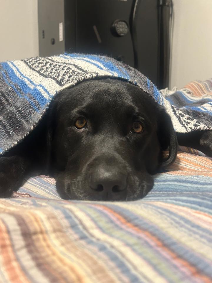 Larry with Renee Park Accounts Receivables