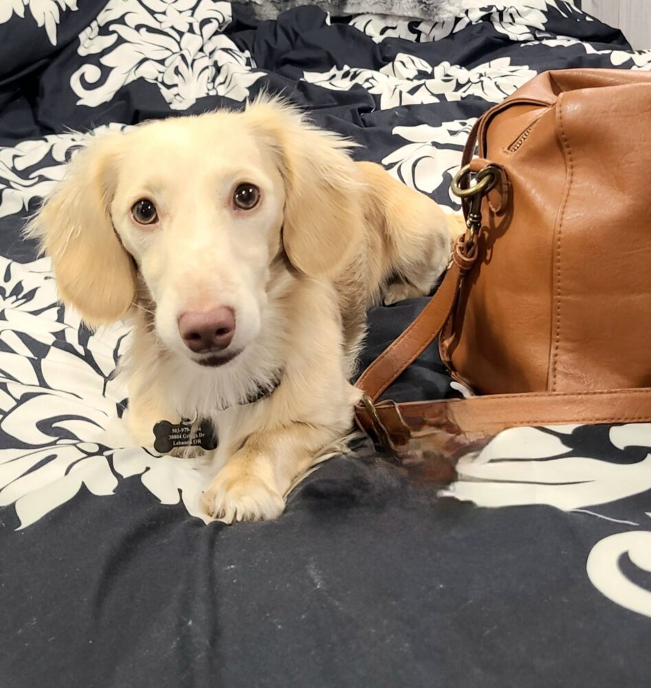 Merle with Alison Griffith plant 3 mixing pod operator