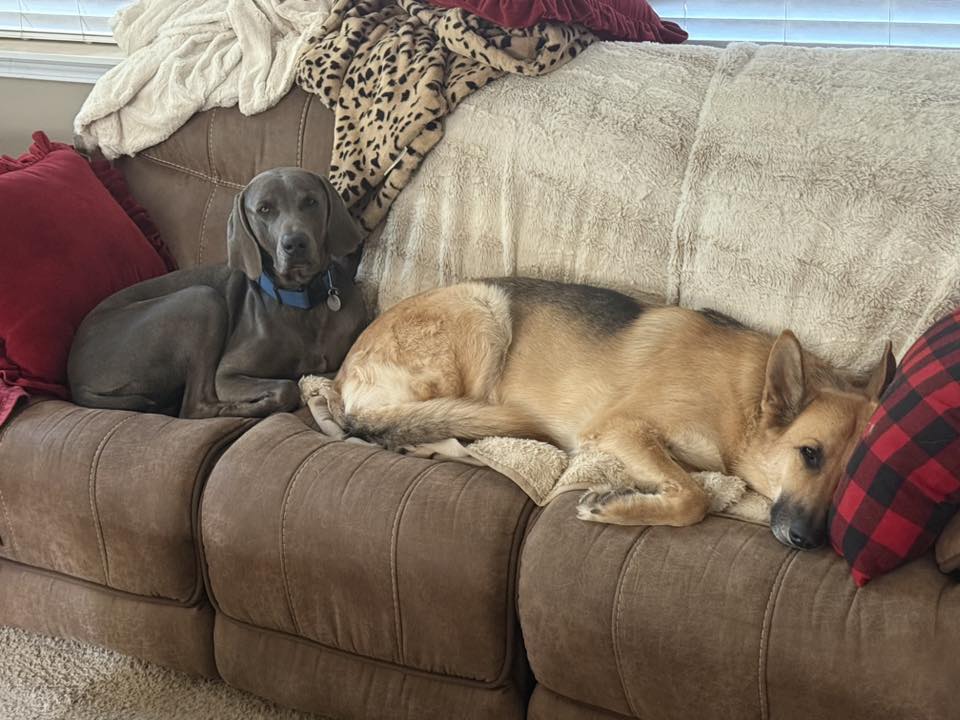 Pace and Gunnar Dustin hendricks electrical journeyman and controls