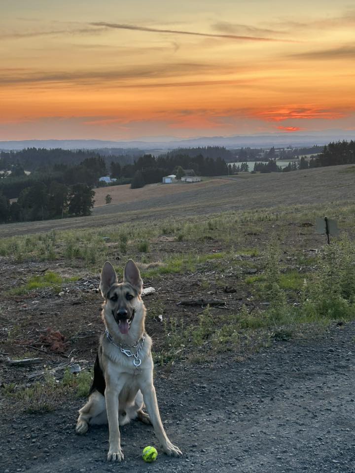 Zues Ramon Vincent p3 millwright