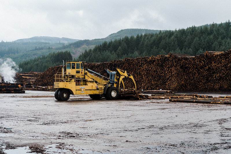 domestic plywood trends