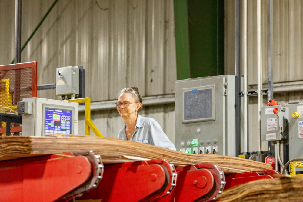 Brenda Bateman Plant 3 Freres Wood 2025